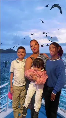 #CapCut 