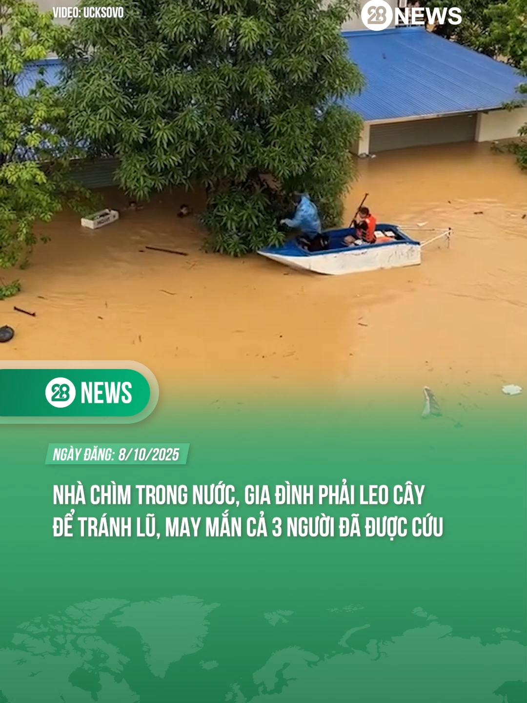 THƯƠNG, MAY LÀ MỌI NGƯỜI ĐỀU ỔN #theanh28 #tiktoknews #theanh28news