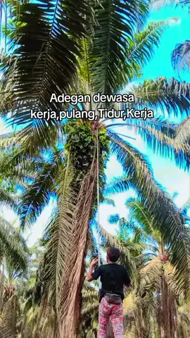 🫀🌴#story #anakrantau #kuli #kulisawitmalaysia🌴🇲🇾🇮🇩 #kuliboy🤙😜🚀 