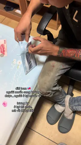 đài loan 🇹🇼  người muốn sang không được , người ở lại muốn về lương 2v ở lại thì chán,  mà về thì lại tiếc  #nguoivietnamtaidailoan🇻🇳🇹🇼 #dailoan🇻🇳🇹🇼 #xuhuong #xuhuong #xuhuongtiktok  