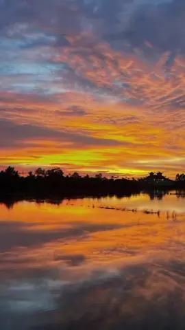 #chữalành #hatgiongchualanh #fyp 