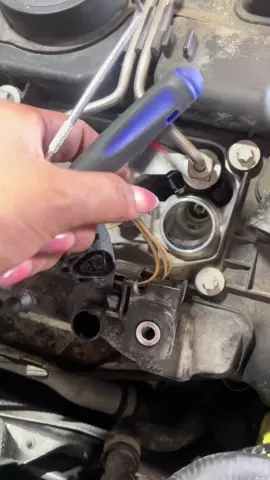 Replacing engine valve cover 🤓 #adayattheshop #lavane 