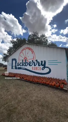 Pumkin patch season 
