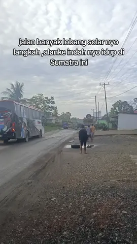 info bibit lele lurr #musirawassumsel 