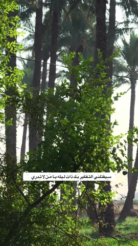 #الشعب_الصيني_ماله_حل #حزين #ستوريات #تفكير #عبارات 