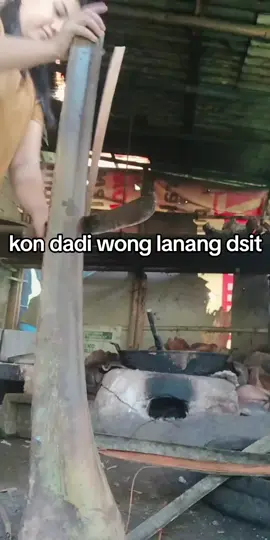 #fypffyyyppppppppppppppppp  #ngleretiblukangdsit