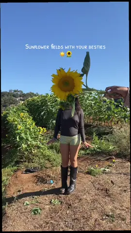 My favorite people @yucking #foryoupage #fypシ #viral #fallvibes #sunflowerfield 