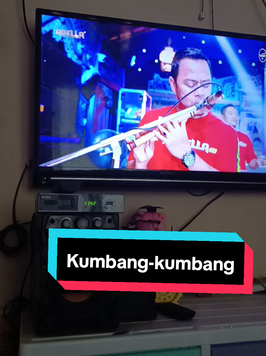 kumbang - kumbang @cantika_nuswantoro16 @hennyadella  #kumbangkumbang #cantikanuswantoro #hennyadella #storytime #dangdutkoplo 
