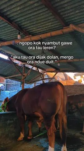 Nek kelingan jan rasane☺️#perintisbukanpewaris #peternakmuda #suksesbutuhproses #suksesmuda #motivation 