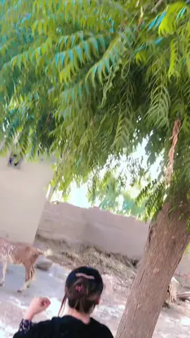 #foryou🥺💔🥀🖤oryou🥺💔 M..🥺