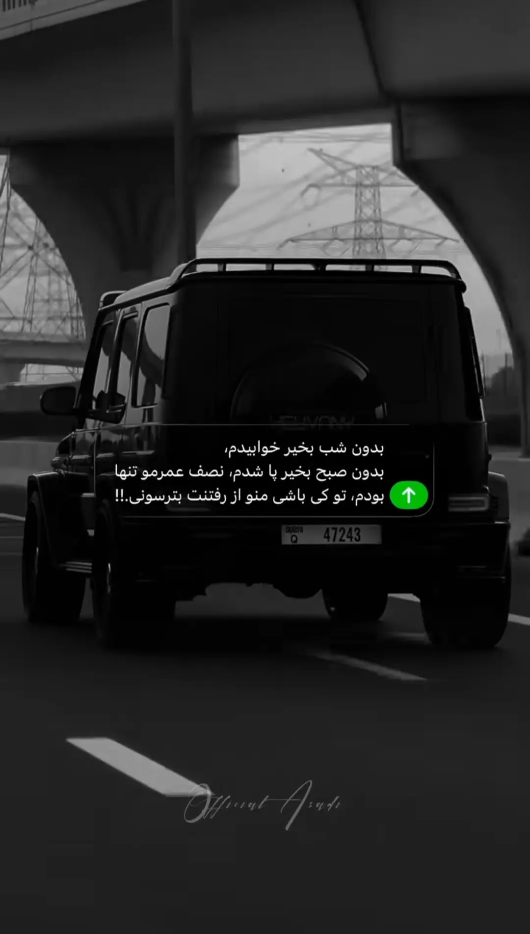 🦅💔 #غمگین #foryou #غمگین #foryou ##پشتون_تاجیک_هزاره_ازبک_زنده_باد🇦🇫 