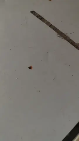 ဒုက္ခတွေ