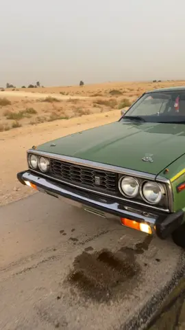 الخضرا دايم غييير 🔥. #ex #fy #explore 