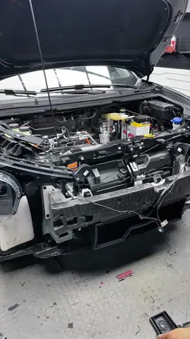 Nghe nói kẻ gạt chân Xpander veloz xơ hả ta #vinfast #limogreen 