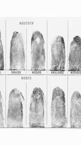 #forensicscience #niche #gapqz 