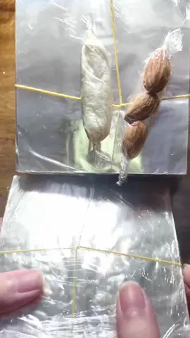 #xuhuong2024❤️ giấy kiếng gói bánh kẹo và mứt 400 miếng #xuhuong2024❤️ 