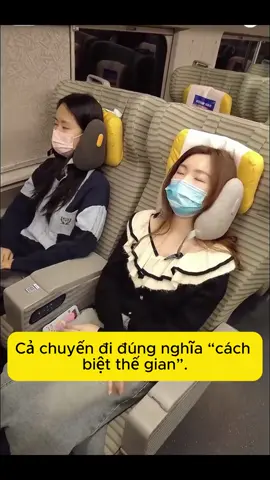 Gối ngủ cách âm cao cấp #giadung #xuhuong #giadungtienich #trangtri #viral 