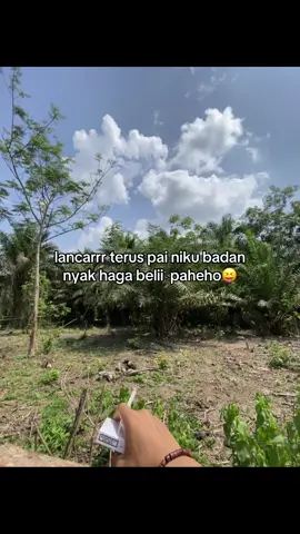 Doain terus kanda kmu ini dekk#fyp #juraganmuda #sawitbalap #kanda #semuapakebrimo 
