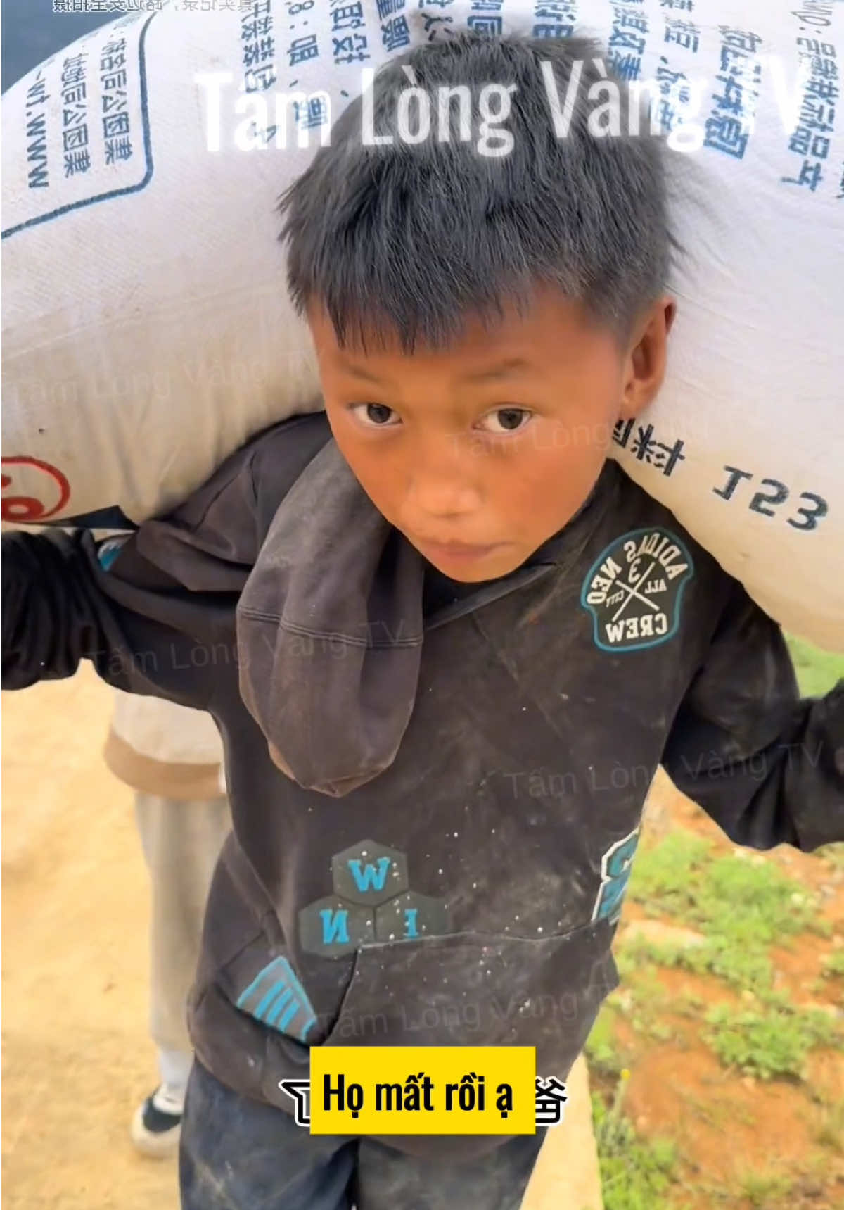 Ba anh em nhỏ tuổi đáng thương mồ côi cha mẹ, bị dì chiếm mất nhà và đuổi ra ngoài, may mắn được chú cưu mang #tintuc #phimtrungquoc #cuocsong #phimhay