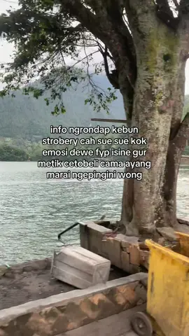hoalah😪 #fypage #tiktokviral 