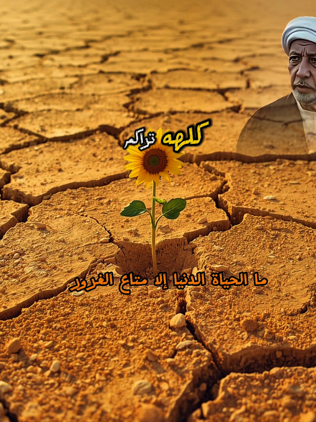 #درر_الكلام_الشيخ_احمدالوائلي #الحياة #قاسية 