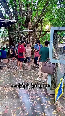 #အရမ်းတော်သော#ချစ်သောမင်းသားလေး 