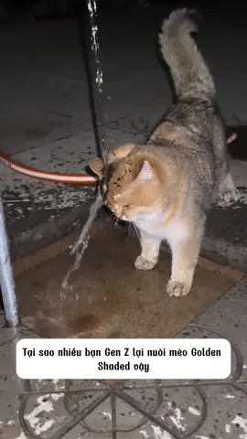 Giờ đã hiểu sao em nó lại đắt zậy 😆🥰