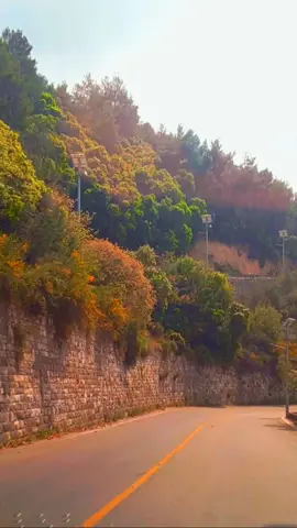 #lebanon🇱🇧لبنان🧿saida🇱🇧✨️  #foryoupage_أكسبلورexploreツ🖤🎼tiktokツ🖤🎼✨️💫  #صباح_الأمل✨️💫🤍 #فضل_شاكر_خدني_معك 