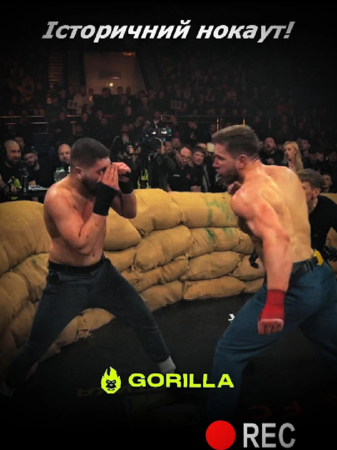 #klanfc #кулачнибої #рекомендації #ttgorillatut #ttgorilla21