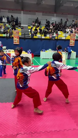RSB TAEKWONDO CHAMPIONSHIP 2025 STADIUM ARENA PERAK #hypertigertaekwondoclub #malaysiahariini #taekwondo #fyp #taekwondofighter 