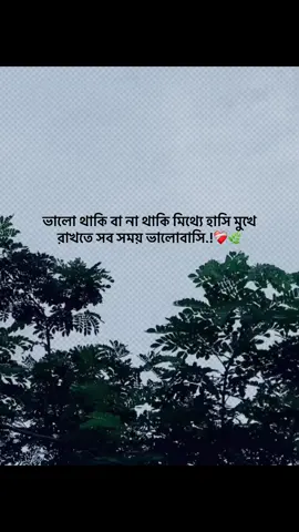ভালো থাকি বা না থাকি মিথ্যে হাসি মুখে  রাখতে সব সময় ভালোবাসি.!❤️‍🩹🌿#foryou #trending #banglacaption #popularvideo #captionvedio 