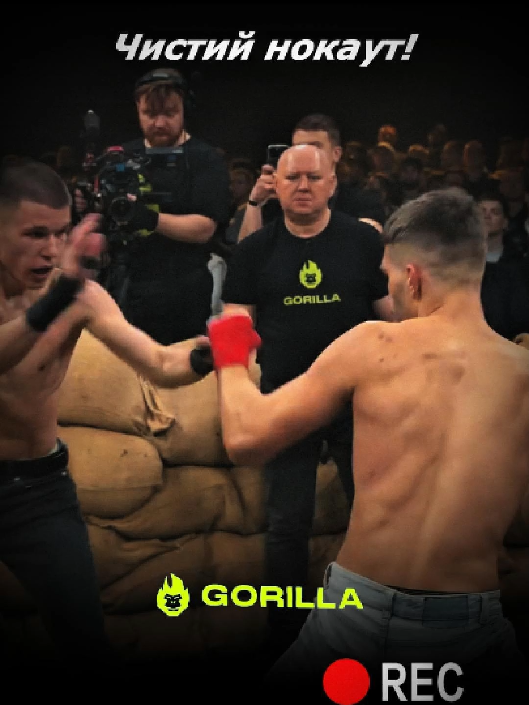 #klanfc #кулачнибої #рекомендації #ttgorillatut #ttgorilla21