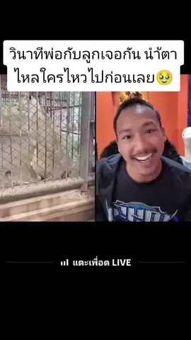 วินาทีน้องมเหสีกับพ่อเจอกันครั้งแรกน่าเอ็นดูถึงจะเจอในรูปแบบไหนก็เถอะนำ้ตาฉัน  สรุปลูกใคร ใครไหวไปก่อนเลย😅😅#สิงโต     #เทรนวันนี้ #🥺 #ทุกคน 
