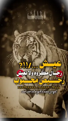 صباح الخير 🥱#استوريات #عبارات_جميلة_وقويه😉🖤 #مجرد________ذووووووق🎶 #اكسبلورexplore #fypシ゚viral🖤tiktok☆♡🦋myvideo 