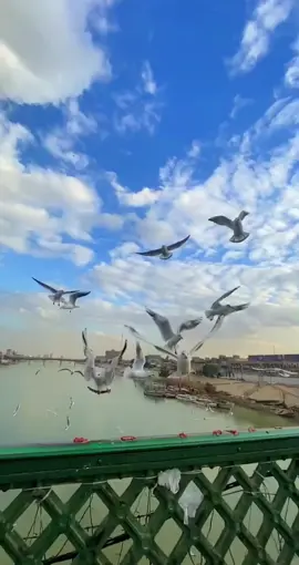 #العراق #بغداد #اكسبلور #مشاهير_تيك_توك #explore 