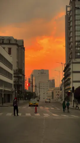 እንግዲህ  ቤቱ ከጨለመም አምፖሉን አብሩት በሩ ከተዘጋም በሩን ክፈቱት ደሞ እንዳትመለስ የሌለው መስሏት እንግዲህ ጌቶች ምሕላ ቁሙ ዱዐ ወጥሩ ቁርዐን ገልጣችሁ ፋቲሀ ቅሩ እንዳይኸልፋት ሳሩ ቅጠሉ ትመጣለች ፍቅሬ ትመጣለች አሁን መንገድ አይኑ ይፍሰስ መንገድ ምንጣፍ ይሁን ደመናው ይበተን ፀሀይ ቁማ ትቅር ማዕበሉ ፀጥ ይበል ጨለማው ያቀርቅር በተፈጥሮ አሳባ በዛው እንዳታድር እሷ ብቻ ትምጣ ኩል ሰበብ አይሁናት በወጉ አይበጠር ፀጉሯም ይንጨባረር  አልባሳት ጌጣጌጥ ቀለም ፥ ሽቱ አትምረጥ ወርቅ ፥ አልማዝ ሆኛለሁ በናፍቆቷ ስቀልጥ ። እሷ ብቻ ትምጣ ቀልቧን ሳትሰበስብ 