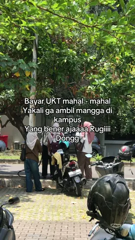 Rugi dong#kuliah #uinmatara #mahasiswa #fyppppppppppppppppppppppp 