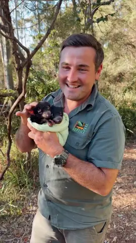 Cuddle Bert & Ernie for yourself in an encounter 💕