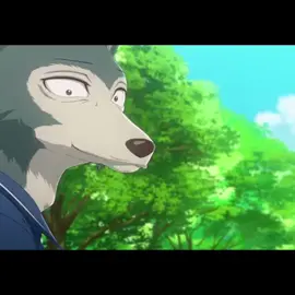 I really LOVE this edit I’m hoping it doesn’t flop❤️#beastars #legoshi #jack #legoshixjack #beastarsanime #beastarsedit #beastarsseason2 #viral #fyp #edit #music #anime #animeedit 