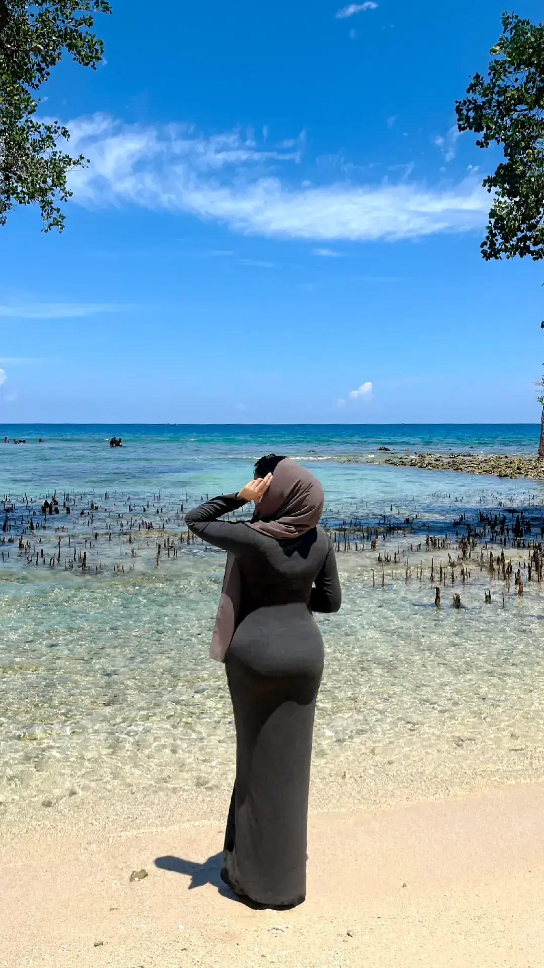 sun, sea, seashells🌺🥥🌴🐚