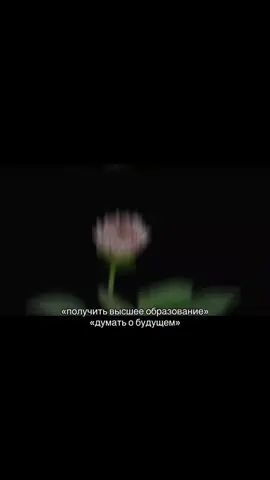 описание чекаем #тренд #видео #врек #fyp 
