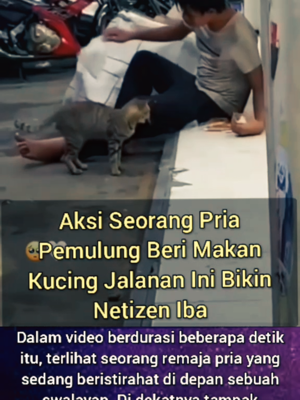 #memberimakankucingjalanan #catlovers #kucingtiktok #fypage 