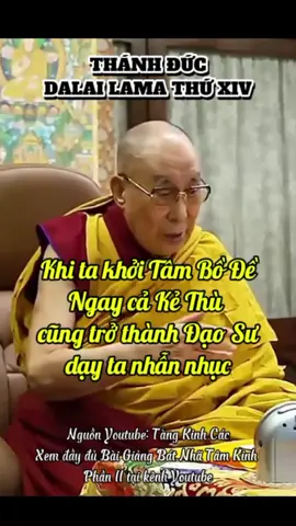 THÁNH ĐỨC DALAI LAMA THỨ 14 THUYẾT GIẢNG Nguồn Youtube: Tàng Kinh Các #tambode #datlailatma #dalailama 