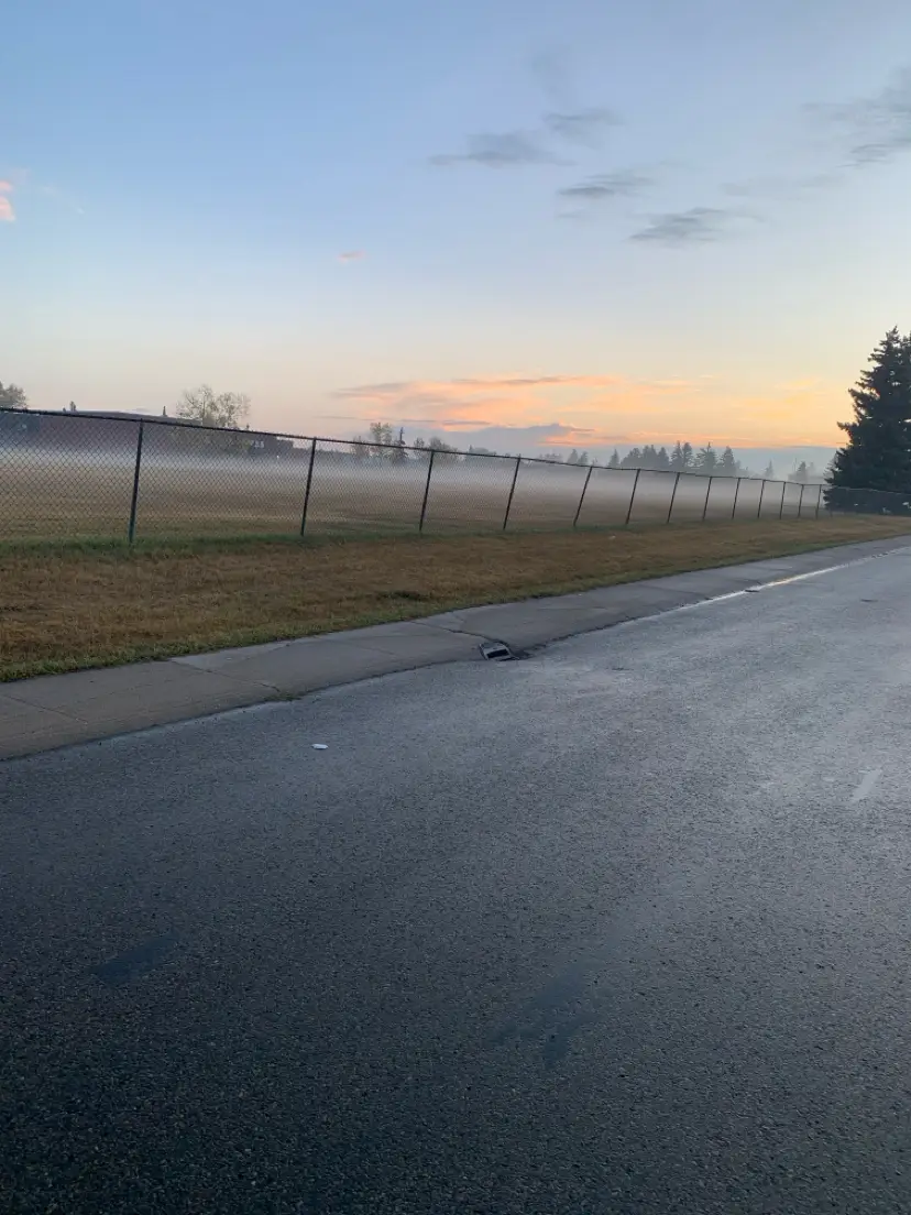 @‘  L🧚🏾‍♀️💘 @hajꨄ @🐿abah @M😈👻 @i💤✝️⚽️ @Aria @Divine🪼 @secretlyhajara @Ⓜ️🧟‍♀️ @🧎‍♀️ @️ #dump 