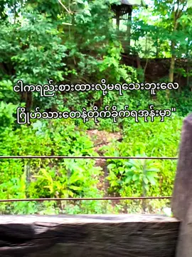 မင်းတို့ထင်သလို သာမန်လူမဟုဘူး/ပါဝါရိန်းကြားအနီကောင်ကွ#ပြင်းလိုစောက်ရူးထခြင်း #myanmartiktok🇲🇲 #fyp #ဘာမှမရေးတော့ဘူးfypပေါက်ရောက် 