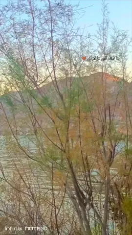 #الخانوگه#الموح  #جبل_الخانوگه  @اسماعيل الجبوري  #سديره_الشرقاط_صلاح_الدين_الحويجه_الزويه 