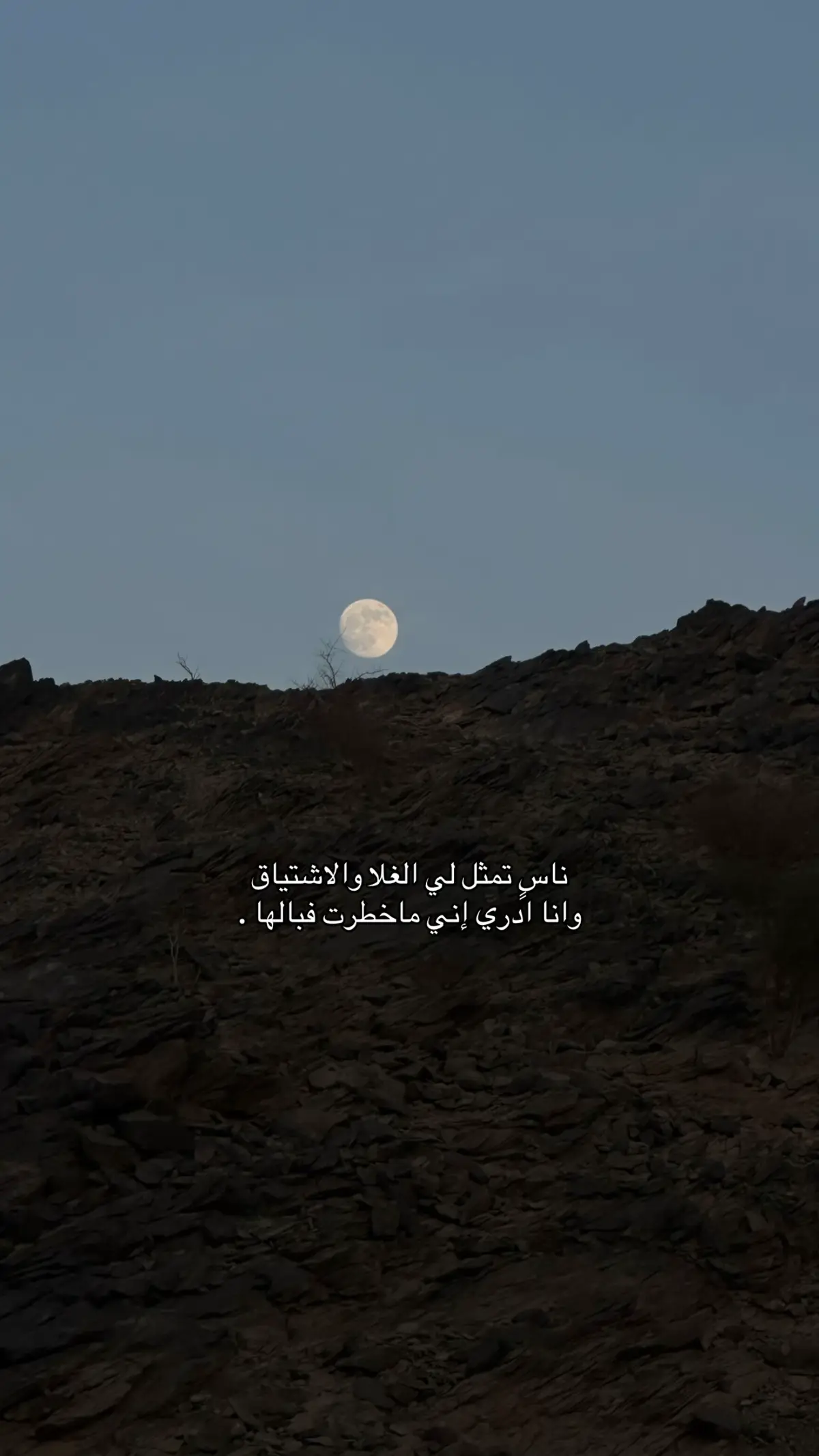 #شعر #explore #تصويري📷 #trend 
