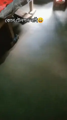 😅😅😅🥰🥰🥰