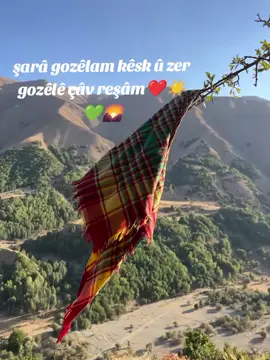 ❤️☀️💚#xerzan #andok #stranenkurdi #amed #kesfetteyiz 