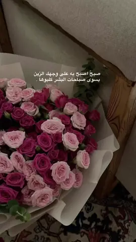 صبحً اصبح به على وجهك الزين  ‏يسوى صباحات البشر كلبوها ♥️ #عقاب_بن_عبيد #قصايد_شعر_خواطر #مالي_خلق_احط_هاشتاقات #اكسبلورexplore #قصايد_شعر_خواطر_شيلات_الاكسبلور #قصايد_شعر #الشعب_الصيني_ماله_حل😂😂 #عقاب_بن_عبيد #قصايد_شعر_خواطر 